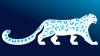 Kyrgyzstan to Host Snow Leopard Eco Festival in Chon-Kemin