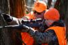Join MDC for a Get Started with Hunting in Missouri virtual presentation on July 1