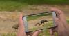 Citizen science is the key to F&G’s hugely successful program, Turkey Tracker
