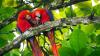 The Ultimate Travel Checklist for Planning Costa Rica Holidays