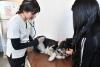 Bolivian city opens country's first municipal veterinary clinic