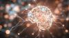 Czech Republic Enters Race to Host European AI Gigafactory