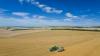 Weather extremes across US and Europe putting pressure on grain prices