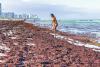 World Cup visitors in Miami encounter beaches thick with smelly seaweed