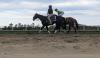 Maryland buys Preakness Stakes to keep Triple Crown racing in the state