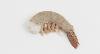 UCN proposes launch of new ex-farm Ecuador HLSO vannamei shrimp price assessment