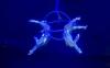 The world of circus unites hearts: Tajikistan to host first-ever international circus festival