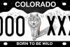 Colorado Parks and Wildlife Awards Born to Be Wild License Plate Grant Funding