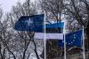 Estonia receives first medium-range air defense system