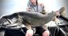 Idaho Falls angler lands 43.25-inch lake trout…and returns to the Idaho record books