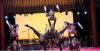 Global Artists Gather for Mongolian Contortion Convention