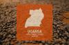 Uganda Coffee Report: Production Steady but Government Signals Strategy Shift
