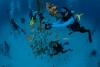 Hundreds help restore Florida’s Reef Tract during Coralpalooza