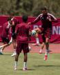 Coach Lopetegui focused on getting Qatar ready for Bosnia