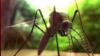 Nebraska health agency confirms West Nile virus case in the state
