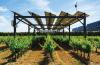 Telangana Plans to Turn Solar Power Into Farmers' Third Source of Income