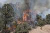 Credit risk frameworks need to respond to rising physical climate damage, report says