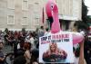 Flamingos Against Billions: Albania’s Coastal Battle Over Kushner’s Luxury Resort