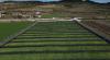 More than 32,000 applications submitted for agricultural support funds, farmers have until June 26 to apply
