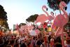 Inside Albania’s youth-led ‘flamingo revolution’