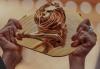 Cannes Lions: Australian winners day four 2026
