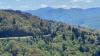 North Carolina ranks among best states for a summer road trip: report With summer in full swing, it's now the perfect time for a scenic road trip across the many mountains and beaches of North Carolina.