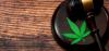 Vermont Gov. Signs Bill to Double Cannabis Possession Limits  