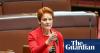 Pauline Hanson says parental leave will force small businesses to ‘fold’ – despite no law forcing employers to pay
