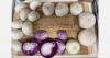 Almost record fuel rates challenging onion industry
