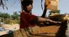 Guinea bans export of raw gold in bid to boost revenues