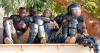 Burkina Faso: Rights groups urge release of disappeared journalist