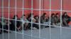 Denmark Says EU Return Hubs Could Open Within a Year