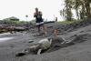 Hawaii County in talks with owner of Punalu‘u Black Sand Beach Park