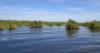 A controversial study spoke of retreating from Louisiana coast. Researcher says work misunderstood.