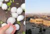 Armenian government has created a working group to assess hail damage in several regions
