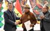 Bolivia against the State of Emergency