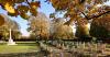 Man Arrested for Collecting Human Body Parts Taken From Cemeteries