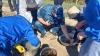 Kazakhstan Restores Valuable Fish Species in the Caspian Sea Basin