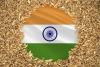 Grain production record expected in India
