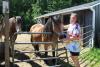 New Hampshire therapist uses farm animals to help regulate emotions