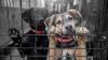 SPCA Florida Offers Hundreds of Pets During Clear the Shelters Event