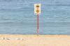 Australia's dilemma: Can beaches be made safe without killing sharks?