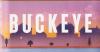 Book Review: ‘Buckeye’ by Patrick Ryan