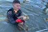 'Dog' rescued from Florida canal turns out to be a coyote