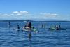 Pickleball/tennis meeting + ways to stay cool – here’s our West Seattle Tuesday list