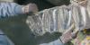 South Dakota joins multistate lawsuit challenging California packaging law