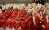 Pope Leo’s upcoming consistory will echo Francis’ synodal style