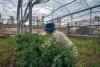 Israel’s Polluting West Bank Factories