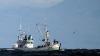 Iceland kills first whales since 2023, resuming whaling