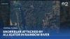 Snorkeler attacked by 8-foot alligator in Florida river, deputies say